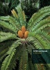 CITES and Cycads - A User's Guide (English, French, Spanish, Paperback) -  Photo