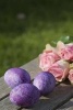 Purple Easter Eggs and Pink Roses - Blank 150 Page Lined Journal for Your Thoughts, Ideas, and Inspiration (Paperback) - Unique Journal Photo