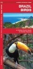 Brazil Birds (Pamphlet) - James Kavanagh Photo