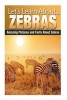 Zebras - Amazing Pictures and Facts about Zebras (Paperback) - Breanne Sartori Photo