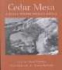 Cedar Mesa - A Place Where Spirits Dwell (Paperback) - David Petersen Photo