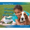 Should Wendy Walk the Dog? - Taking Care of Your Pets (Paperback) - Rebecca Rissman Photo