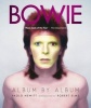 David Bowie: Album by Album (Paperback) - Paolo Hewitt Photo