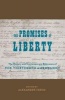 The Promises of Liberty - The History and Contemporary Relevance of the Thirteenth Amendment (Hardcover) - Alexander Tsesis Photo