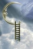 Ladder to the Moon Journal - 150 Page Lined Notebook/Diary (Paperback) - Cool Image Photo