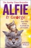 Alfie and George - A Christmas Tale About How One Cat and His Kitten Brought a Street Together (Hardcover) - Rachel Wells Photo