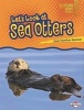 Let's Look at Sea Otters (Paperback) - Laura Hamilton Waxman Photo