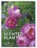 The RHS Companion to Scented Plants (Hardcover) - Stephen Lacey Photo