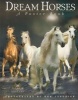 Dream Horses Poster Book (Paperback) - Elsebeth Christensen Photo