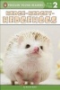 Hedge-Hedgey-Hedgehogs (Paperback) - Bonnie Bader Photo