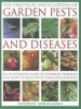 The Practical Encyclopedia of Garden Pests and Diseases - An Illustrated Guide to Common Problems and How to Deal with Them Successfully (Paperback) - Andrew Mikolajski Photo