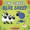 One Sheep, Blue Sheep (Board book) - Thom Wiley Photo