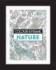 Colour and Frame - Nature (Paperback) - Felicity French Photo