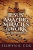 Jesus' Amazing Miracles (Jams) @ Work 365 Day Devotional - My Story/My Song (Paperback) - Selwyn B Cox Photo