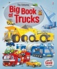 Big Book of Trucks (Hardcover, New edition) - Megan Cullis Photo