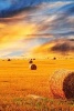 A Golden Sunset Over a Hay Field - Blank 150 Page Lined Journal for Your Thoughts, Ideas, and Inspiration (Paperback) - Unique Journal Photo