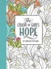 The Color of God's Hope (Paperback) - Lisa Stilwell Photo