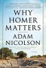 Why Homer Matters (Paperback) - Adam Nicolson Photo