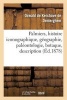 Palmiers, Histoire Iconographique, Geographie, Paleontologie, Botaque, Description, Culture (French, Paperback) - Kerchove De Denterghem O Photo