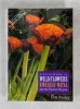 A Field Guide to Wildflowers of Kwazulu-Natal and the Eastern Region (Paperback) - Elsa Pooley Photo