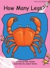 How Many Legs? (Paperback) - Pam Holden Photo