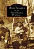 Music Makers of the Blue Ridge Plateau (Paperback) - Blue Ridge Music Makers Guild Inc Photo