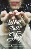 What Falls from the Sky - How I Disconnected from the Internet and Reconnected with the God Who Made the Clouds (Hardcover) - Esther Emery Photo