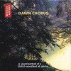 Dawn Chorus - A Sound Portrait of a British Woodland at Sunrise (CD) - British Library Photo