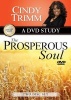 The Prosperous Soul - A DVD Study + Leader's Guide (Region 1 Import DVD) - Cindy Trimm Photo