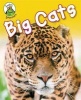 Big Cats (Paperback) - Annabelle Lynch Photo