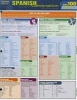 Spanish Conversation (Wallchart) - BarCharts Inc Photo