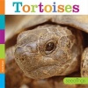 Tortoises (Hardcover) - Kate Riggs Photo