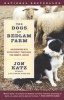 The Dogs of Bedlam Farm - An Adventure with Sixteen Sheep, Three Dogs, Two Donkeys, and Me (Paperback, Random House trade pbk. ed) - Jon Katz Photo