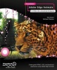 Foundation Adobe Edge Animate: For HTML5, CSS3, and JavaScript Development (Paperback, New) - Tom Green Photo