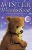 Winter Wonderland (Paperback) -  Photo