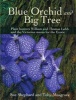 Blue Orchid and Big Tree - Plant Hunters William and Thomas Lobb and the Victorian Mania for the Exotic (Paperback) - Sue Shephard Photo