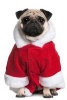 Pug Dog in a Santa Coat Journal - 150 Page Lined Notebook/Diary (Paperback) - Cs Creations Photo