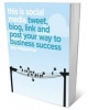 This is Social Media - Tweet, Blog, Link and Post Your Way to Business Success (Paperback) - Guy Clapperton Photo