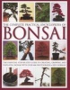 The Complete Practical Encyclopedia of Bonsai - The Essential Step-by-Step Guide to Creating, Growing, and Displaying Bonsai (Hardcover) - Ken Norman Photo