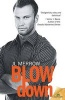 Blow Down (Paperback) - Jl Merrow Photo