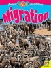 Migration (Paperback) - Megan Kopp Photo