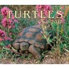 Turtles 2017 (Calendar) - Firefly Books Photo