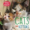 Cats & Kittens (Hardcover, Illustrated edition) - Annabelle Lynch Photo