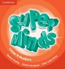 Super Minds Level 4 Posters (10) (Poster) - Herbert Puchta Photo