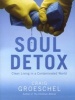 Soul Detox (Paperback) - Craig Groeschel Photo