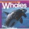 Welcome Whales (Wonderful Worl (Paperback) - Diane Swanson Photo