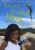 A Girl Called Dog (Paperback) - Nicola Davies Photo