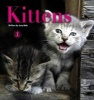 Kittens (Paperback) - Lucy Hale Photo