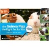 Are Guinea Pigs the Right Pet for You - Can You Find the Facts? (Paperback) - Emma Milne Photo