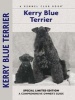 Kerry Blue Terrier (Hardcover) - Bardi McLennan Photo